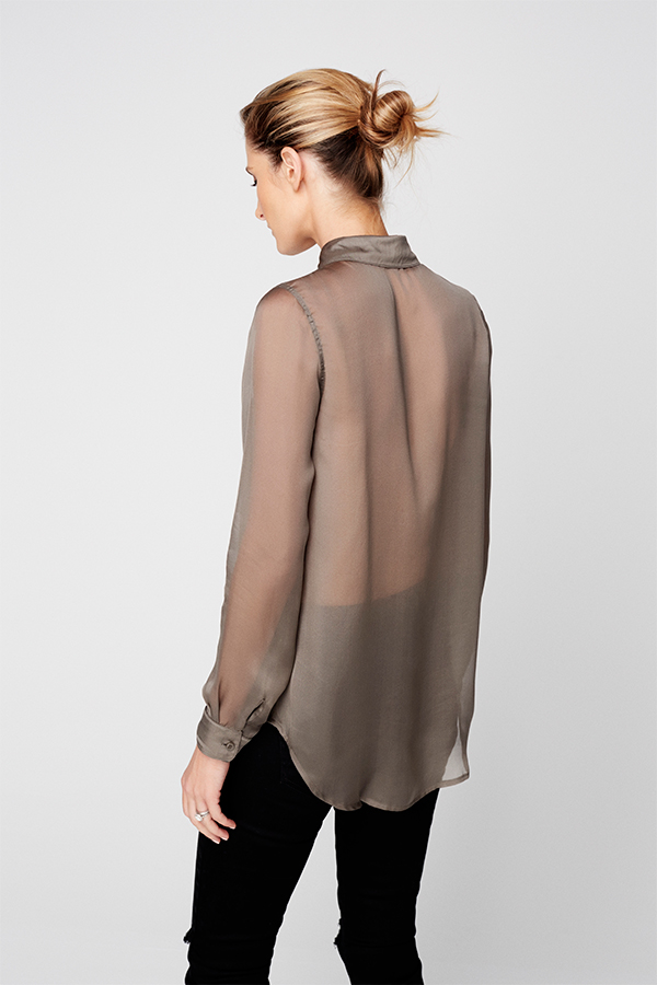 The Sheer Blouse